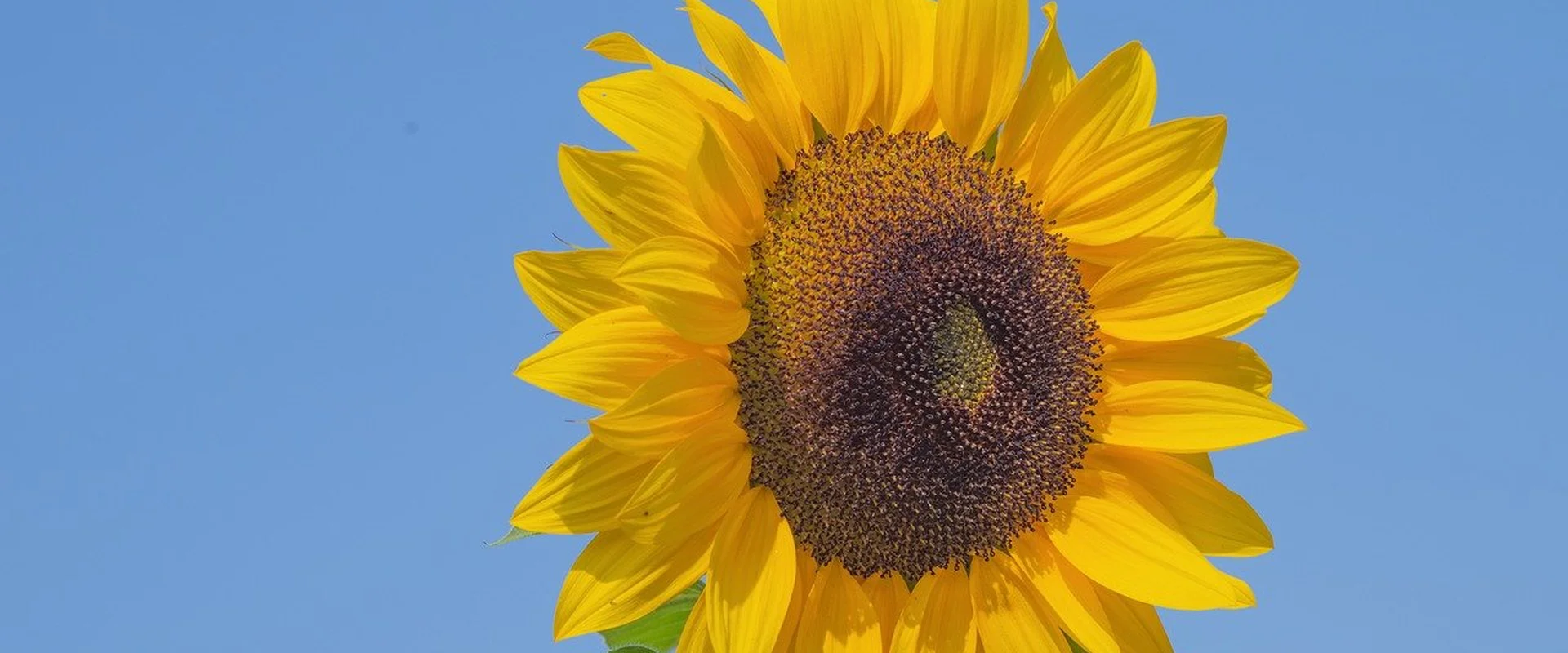 米博体育PG电子